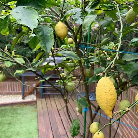 Daire Apto Con Patio Parking Gratuito Anselmo Solar